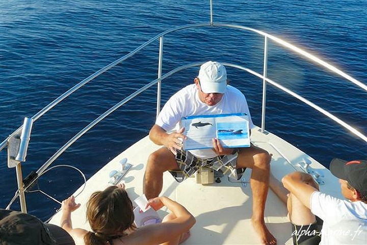 rencontres carry rouet