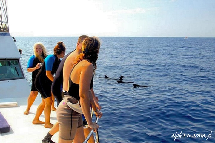 rencontre des vieux bateau