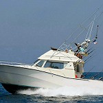 Peche sportive au gros Beaulieu sur Mer