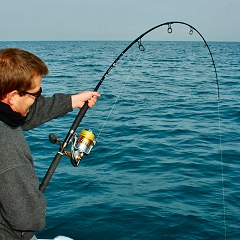 peche au gros