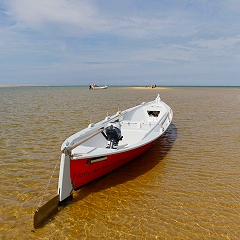 33