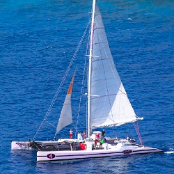 demi journee catamaran