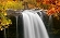 Eaux vives