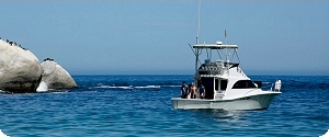 Peche en mer
