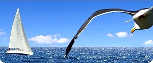 Voile Voile