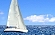 Voile