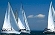 Voile formation