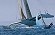 Voile trimaran course