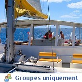 Demi journee catamaran voile day charter cap agde