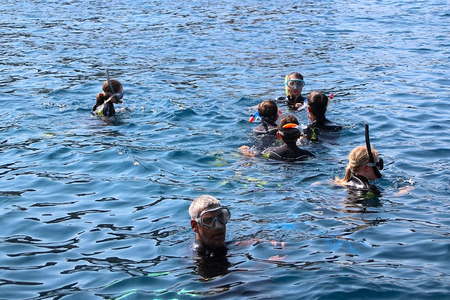Randonnée palmée Banyuls sur Mer - 66