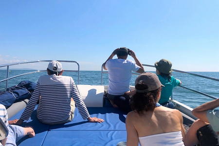 Excursions catamaran Cap Agde