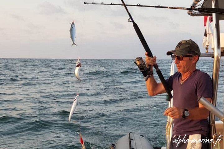 Matinee Peche Cotiere Saintes Maries Mer 13 Pecher En Mer Demi Journee