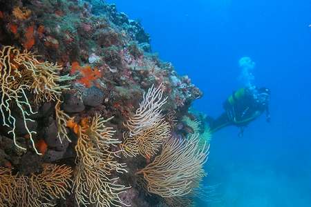 Stage plongee sous marine Frontignan Plage