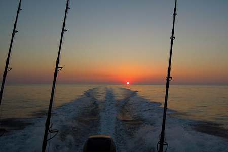 Pêche gros Rochelle Charente Maritime 17