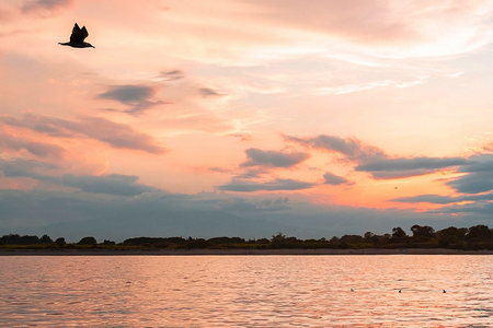 Excursions bateau coucher soleil