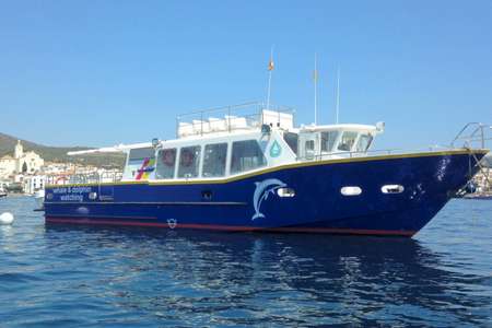 Sortie bateau pour aller voir les dauphins