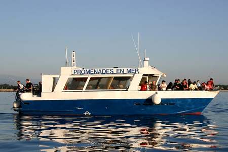 Bateau moteur navire à passagers