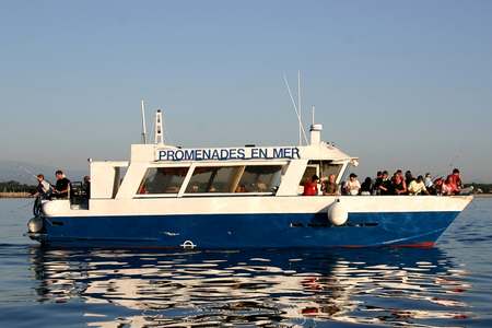 Pêche Argelès sur Mer - 66