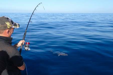 Pêcher thons espadons Méditerranée