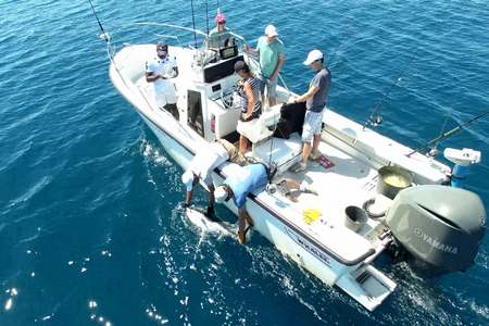 Pêcher gros poissons Bouches Rhone 13