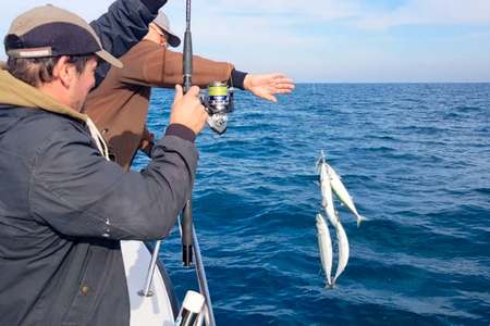 Pêcher épave poisson Méditerranée