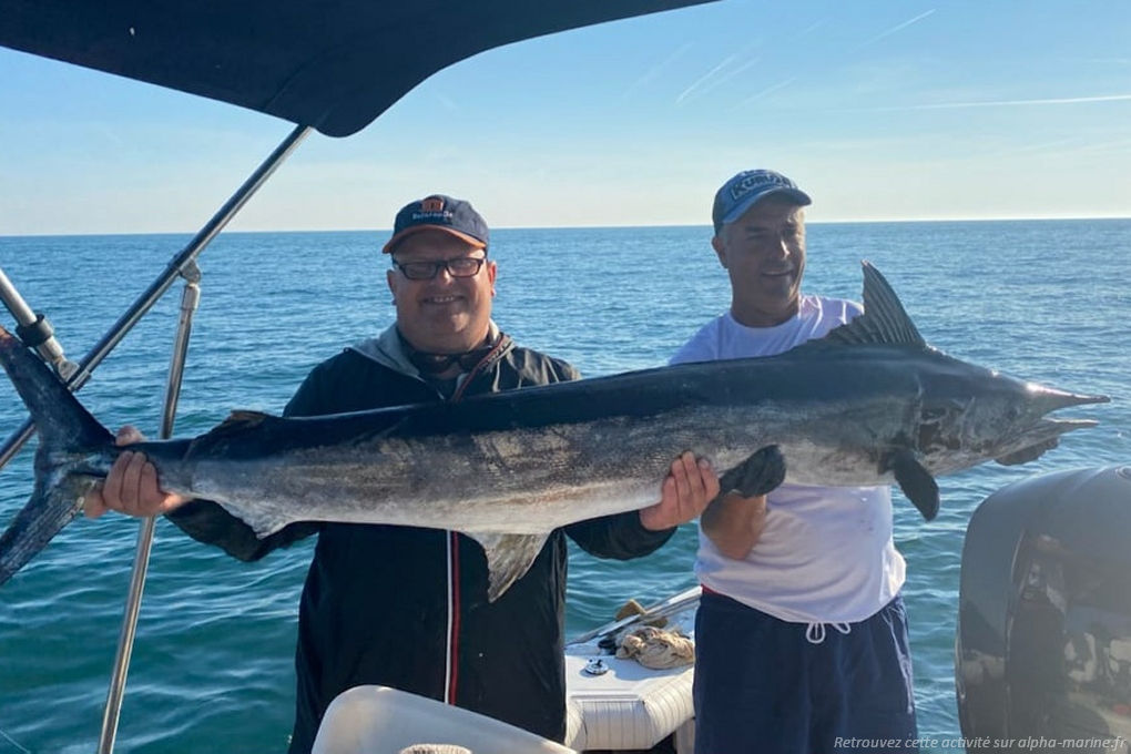 Pêcher le marlin Pêche au gros aux Stes Maries de la Mer