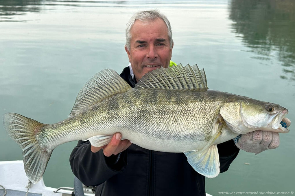 Pêcher le Sandre Pêche aux Saintes Maries de la Mer