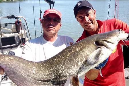 Peche gros poissons silure sandre