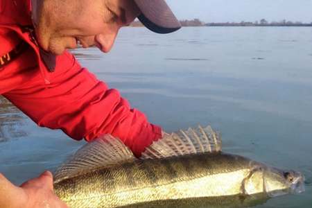 Pêche silure sandre Stes Maries