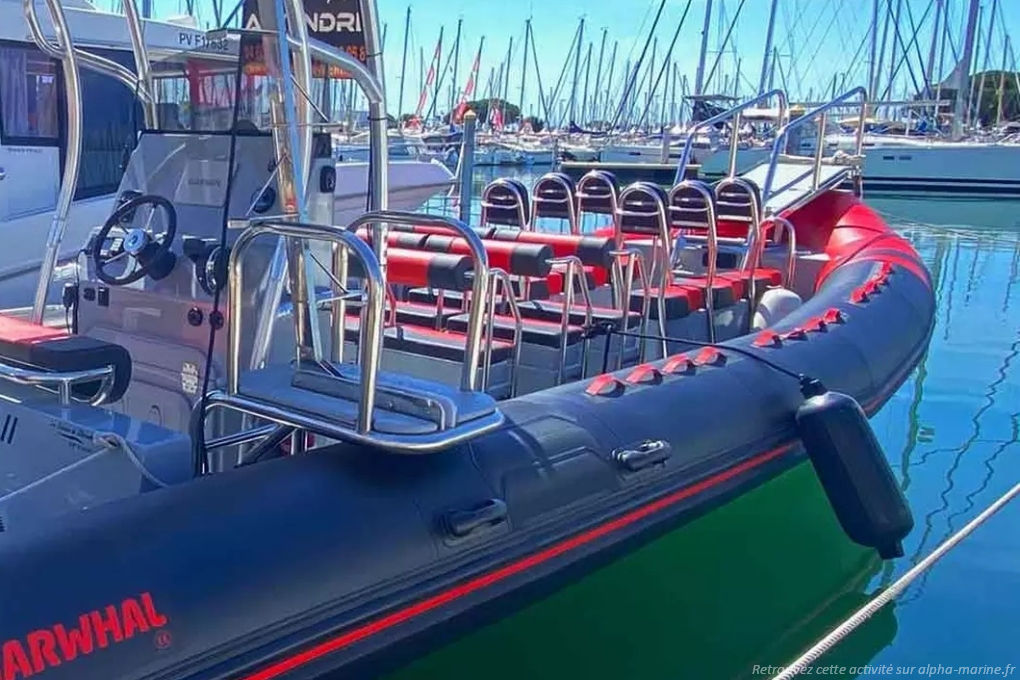 Bateau moteur semi rigide