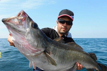 Pêche au gros Saint Martin de Ré - 17