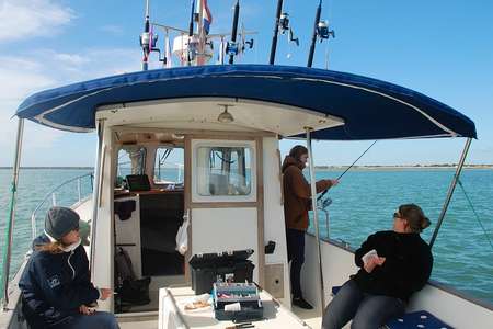 Peche en mer Saint Martin de Ré