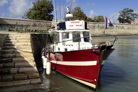 Demi-journee peche Saint Martin ile Re