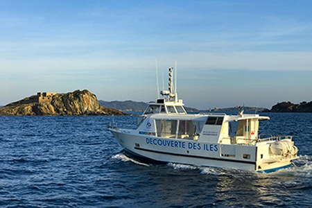 Sortie rencontre dauphin Méditerranée