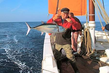 Peche au gros Lorient