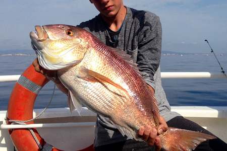 Peche en mer Leucate Aude 11