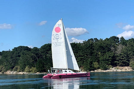 Sorties catamaran voile ile Groix