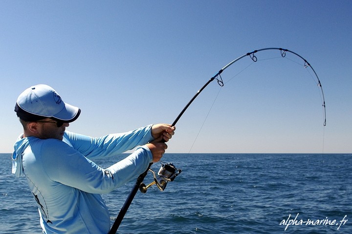 Peche Au Gros Port Saint Louis Du Rhone Stage Peche Chasses Broume Gros Poissons