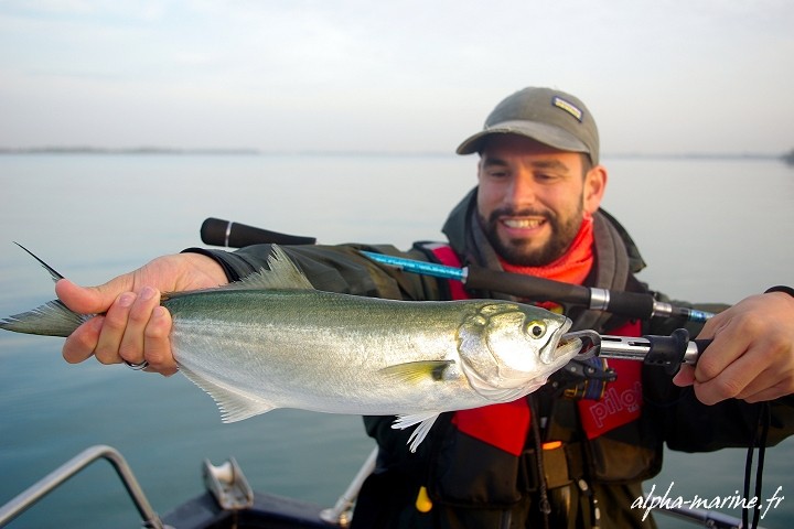 Peche En Mer Port Saint Louis Du Rhone 13 Stage Peche Aux Leurres Loup Tassergal Liche