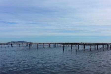 Excursion bateau Marseillan visite parcs