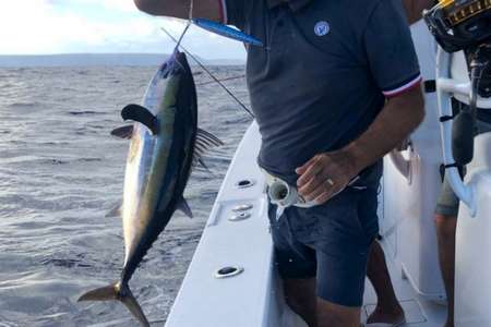 Journée pêche gros poissons Camargue