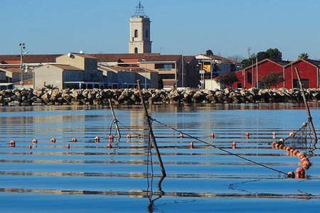 Sorties catamaran Balaruc les Bains