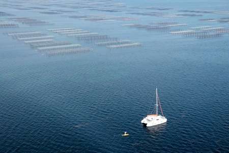 Sorties catamaran Frontignan Montpellier