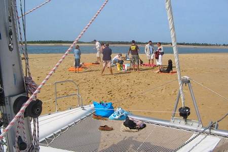 Sorties catamaran Flotte en Ré ile de Ré 17