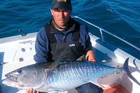 Pêche aux gros poissons thons bonites