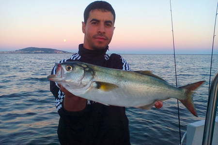 Pêcher poissons mer Marseillan