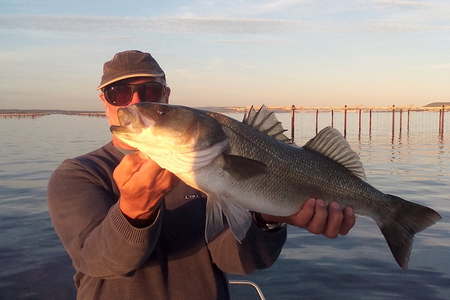 Guide pêche Marseillan Etang Thau