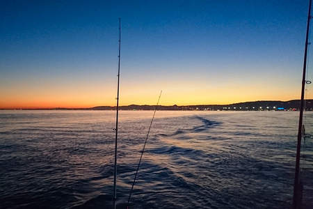 Journée pêche traine lancer chasses