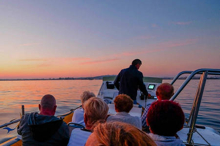 Excursions bateau Marseillan