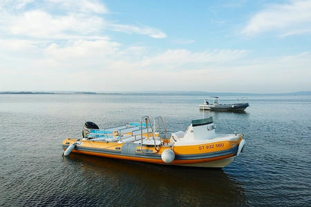 Excursions bateau baignade en mer
